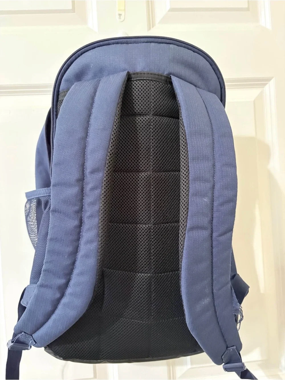 Nike Navy and White Everyday Backpack